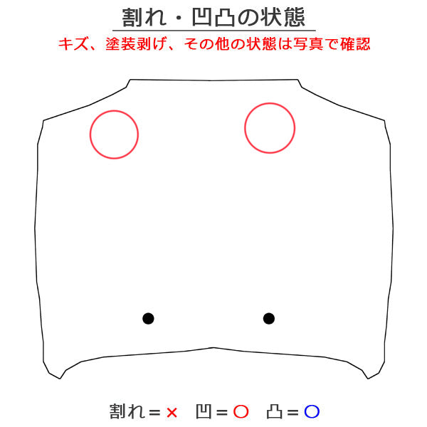 RX 350/450h+/TALA10/TALA15 AALH16 フロント アルミ製 グラファイトブラックガラスフレーク 223 レクサス(141758)