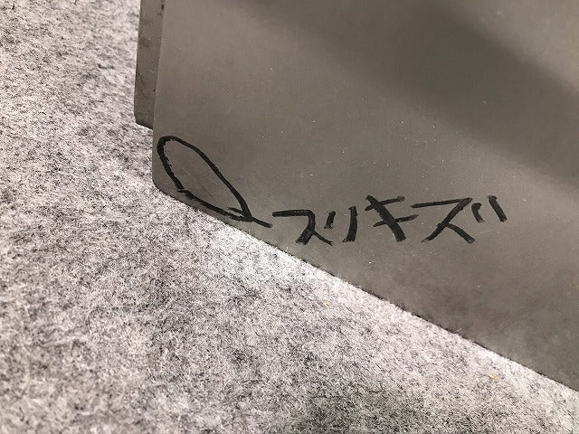 カローラランクス アレックス NZE121 NZE124 ZZE122 ZZE123 ZZE124 純正 左 リア ドア ベージュメタリック カラーNo.4R4 トヨタ (105238)