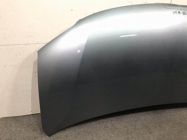セレナ C26/FPC26/NC26/FNPC26/HC26/HFC26/FNC26 純正 前期 ボンネット/エンジンフード 日産(105259)