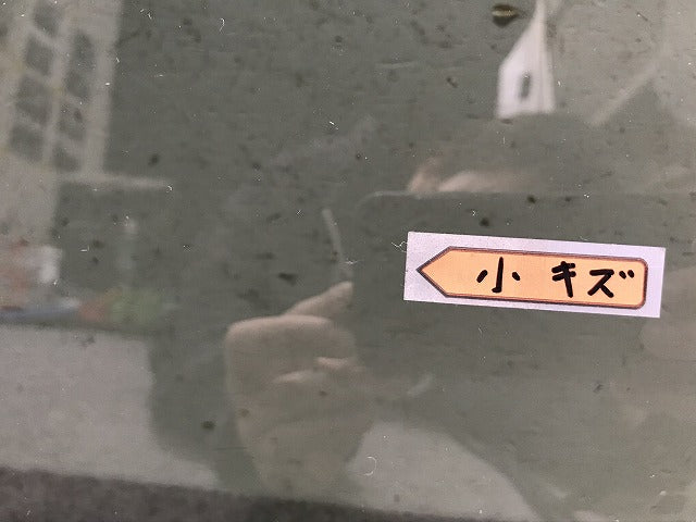 ノート E12/HE12/NE12/SNE12 純正 左リアガラス 43R-005844 日産(106455)