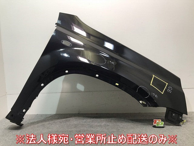 X-TRAIL/エクストレイル T31/DNT31/NT31/TNT31 純正 左フロントフェンダー ダイヤモンドブラック カラーNo.G41 日産(112549)