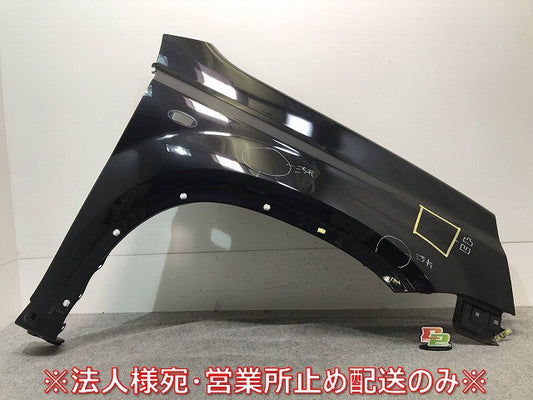 X-TRAIL/エクストレイル T31/DNT31/NT31/TNT31 純正 左フロントフェンダー ダイヤモンドブラック カラーNo.G41 日産(112549)