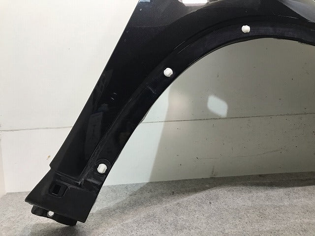 X-TRAIL/エクストレイル T31/DNT31/NT31/TNT31 純正 左フロントフェンダー ダイヤモンドブラック カラーNo.G41 日産(112549)