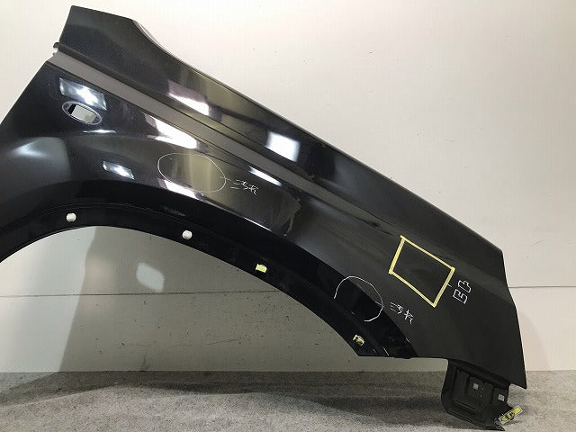 X-TRAIL/エクストレイル T31/DNT31/NT31/TNT31 純正 左フロントフェンダー ダイヤモンドブラック カラーNo.G41 日産(112549)