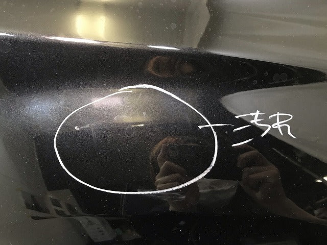X-TRAIL/エクストレイル T31/DNT31/NT31/TNT31 純正 左フロントフェンダー ダイヤモンドブラック カラーNo.G41 日産(112549)