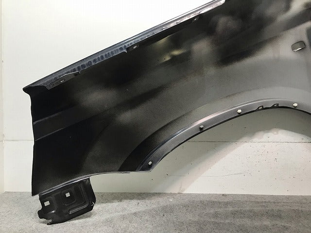 X-TRAIL/エクストレイル T31/DNT31/NT31/TNT31 純正 左フロントフェンダー ダイヤモンドブラック カラーNo.G41 日産(112549)