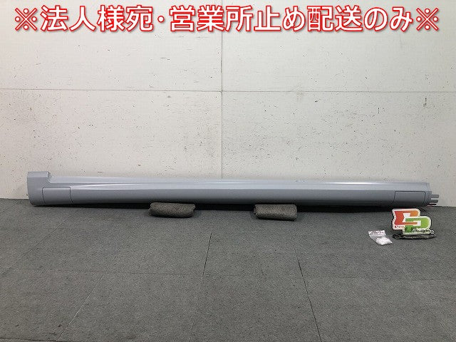新品 パサート/PASSAT 3C/2006-2009 純正 左フロントサイドステップ/サイドスカート 3C0853855D/3C0853855DGRU フォルクスワーゲン(116975)