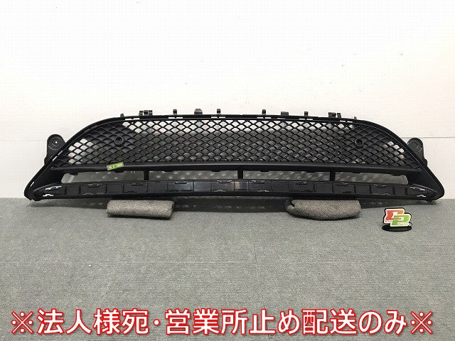 新品 Eクラス/AMG/W213 純正 フロントグリル/ラジエターグリル/ラジエーターグリル A 213 885 69 00 2138856900 メルセデスベンツ (117947)