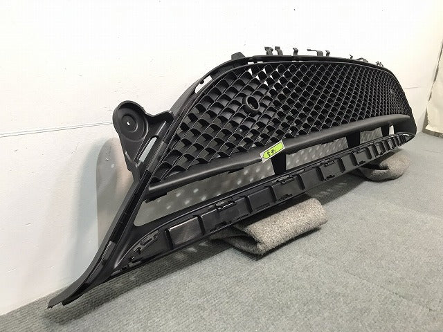新品 Eクラス/AMG/W213 純正 フロントグリル/ラジエターグリル/ラジエーターグリル A 213 885 69 00 2138856900 メルセデスベンツ (117947)