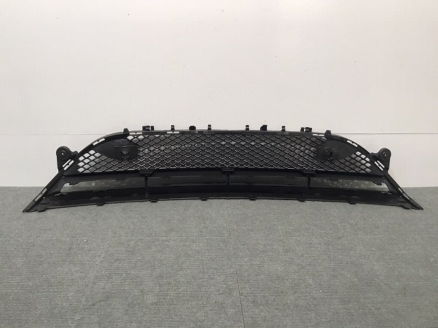 新品 Eクラス/AMG/W213 純正 フロントグリル/ラジエターグリル/ラジエーターグリル A 213 885 69 00 2138856900 メルセデスベンツ (117947)