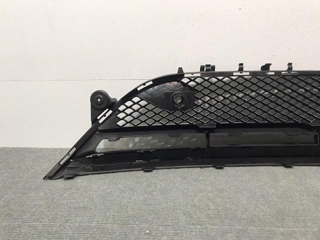 新品 Eクラス/AMG/W213 純正 フロントグリル/ラジエターグリル/ラジエーターグリル A 213 885 69 00 2138856900 メルセデスベンツ (117947)