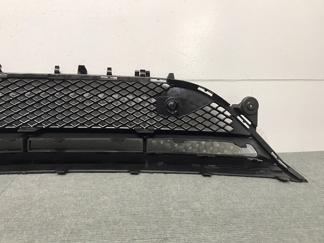 新品 Eクラス/AMG/W213 純正 フロントグリル/ラジエターグリル/ラジエーターグリル A 213 885 69 00 2138856900 メルセデスベンツ (117947)