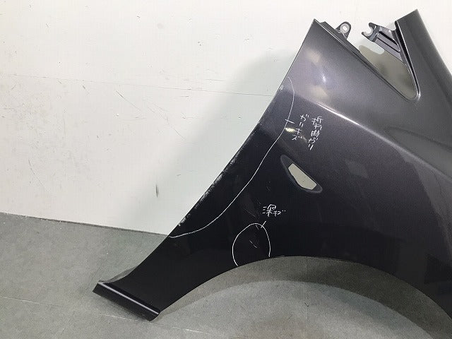 ラフェスタ/プレマシー/CWEAWN/CWEFWN/CWEAW/CWEFW 純正 右フロント フェンダー ガンメタ 日産 (121916)