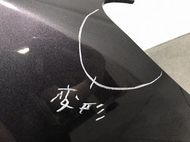 ラフェスタ/プレマシー/CWEAWN/CWEFWN/CWEAW/CWEFW 純正 右フロント フェンダー ガンメタ 日産 (121916)