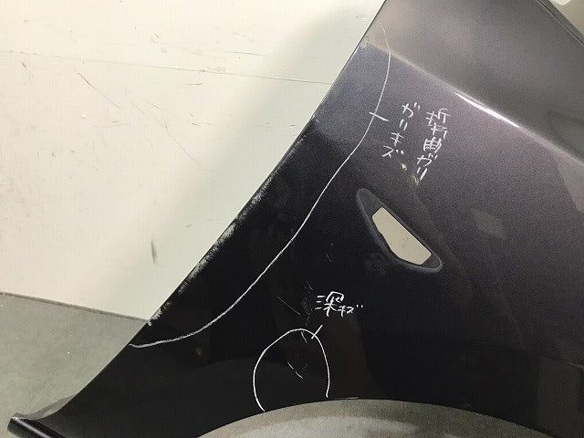 ラフェスタ/プレマシー/CWEAWN/CWEFWN/CWEAW/CWEFW 純正 右フロント フェンダー ガンメタ 日産 (121916)