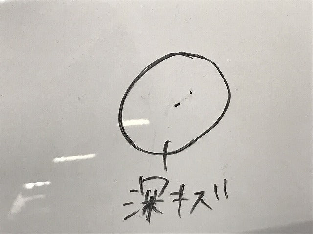 アトラストラック 標準 F24系 純正 フロント グリル/ラジエーターグリル 62320 MA000 ホワイト 日産(124607)