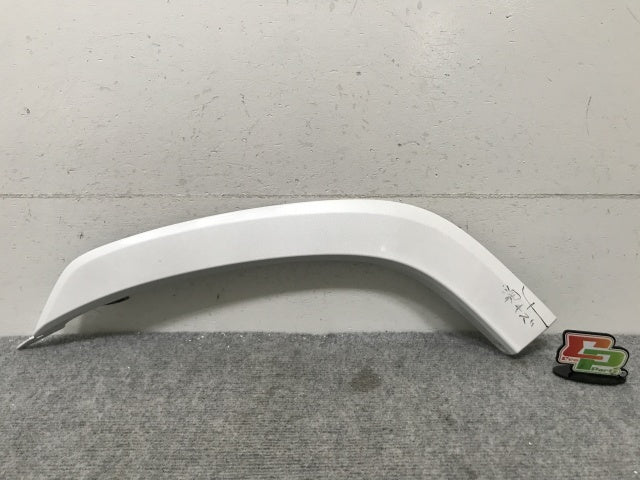 新車外し!ランドクルーザー/ランクル FJA300W/VJA300W 純正 左 リア ドア オーバーフェンダー/フェンダーアーチモール 75078-60060(136393)