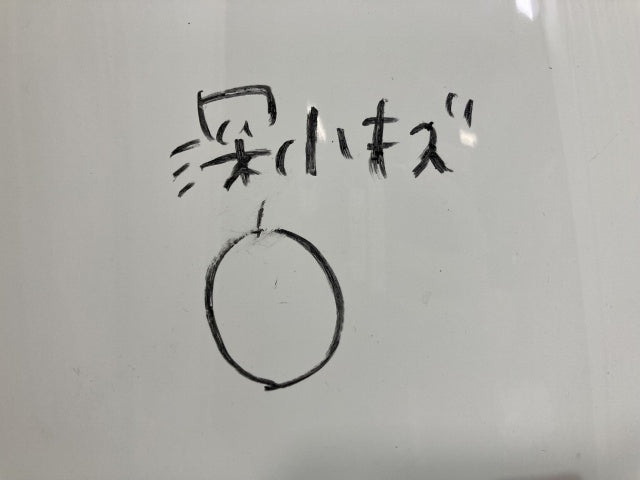 新車取り外し!フォワード 5代目/2021- 純正 後期 右 フロント コーナーパネル/コーナーカバー ホワイト ソリッド いすゞ(138733)