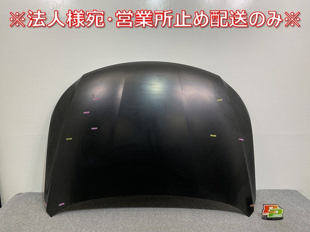 新品!パサート 3C/2008-2011 純正 ボンネット/エンジンフード 3C8 823 031 B 3C8823031B 未塗装 フォルクスワーゲン(140007)