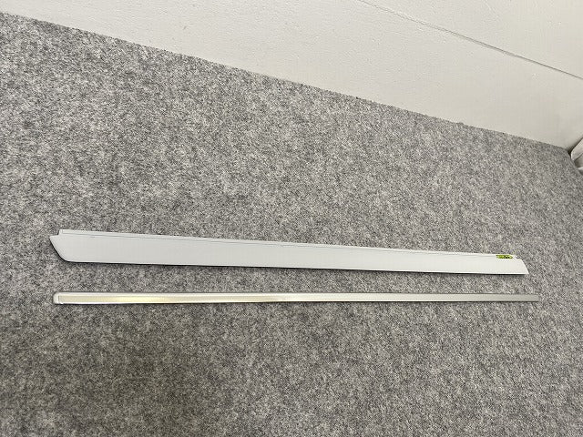 新品!パサート 3B/2001-2005 純正 右 リア ドア モール 3B0 853 754 D 3B0898574GRU サフ フォルクスワーゲン(140244)