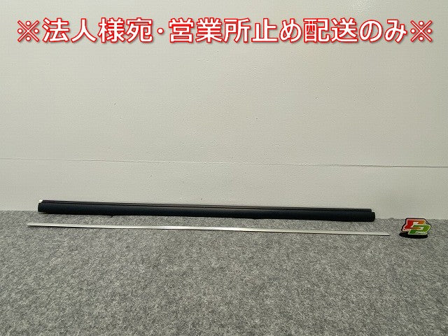 新品!パサート 3B/2001~2005 純正 右 フロント ドアモール 3B0 853 516 C 3B0898572GRU 未塗装 フォルクスワーゲン(140249)