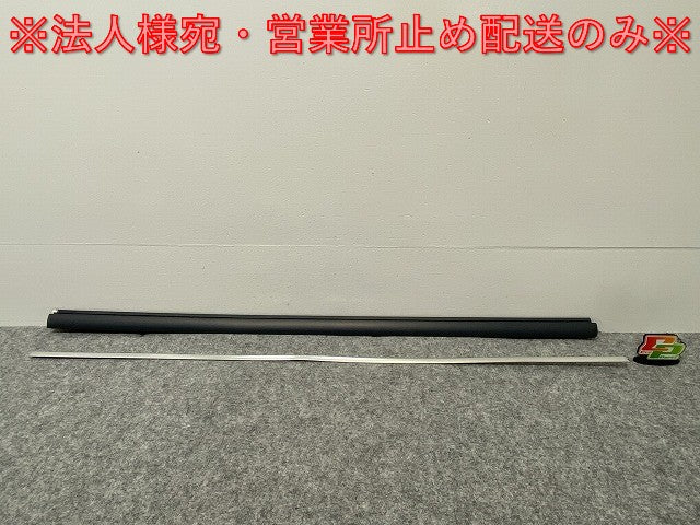 新品!パサート 3B/2001~2005 純正 右 フロント ドアモール 3B0 853 516 C 3B0898572GRU 未塗装 フォルクスワーゲン(140250)