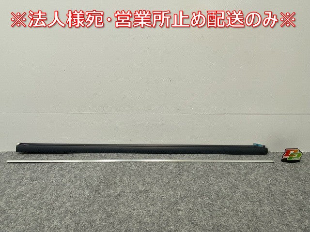 新品!パサート 3B/2001~2005 純正 右 フロント ドアモール 3B0 853 516 C 3B0898572GRU 未塗装 フォルクスワーゲン(140252)