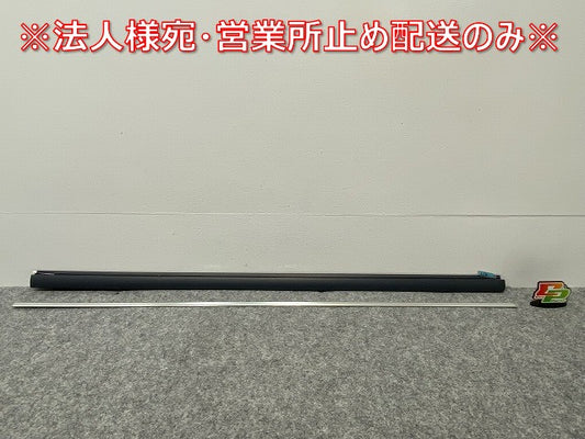 新品!パサート 3B/2001~2005 純正 右 フロント ドアモール 3B0 853 516 C 3B0898572GRU 未塗装 フォルクスワーゲン(140252)