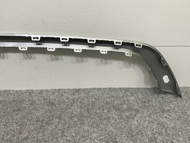 新品!Tロック/T-ロック リア バンパートリム 2GA.807.725 2GA8077252UC パイライトシルバーメタリック LB7S フォルクスワーゲン(142147)