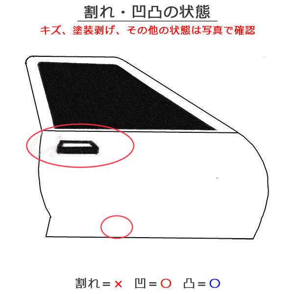 セレナ/ハイウェイスター C27/GFC27/GFNC27 e-POWER/HFC27 純正 右 フロント ドア バイザーサイドパネル付 アズライトブルー RBR(143366)