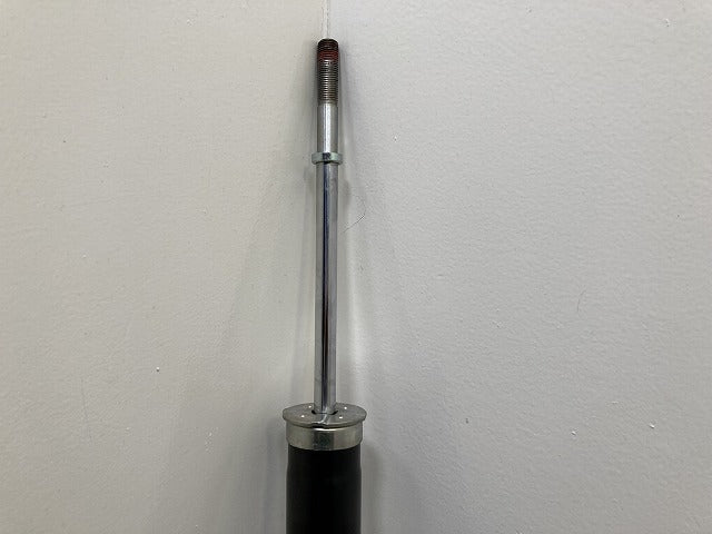 HS/HS250 ANF10 純正  リア ショック アブソーバー 48530-75030-G レクサス(145543)