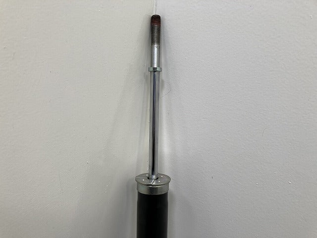 HS/HS250 ANF10 純正  リア ショック アブソーバー 48530-75030-G レクサス(145543)