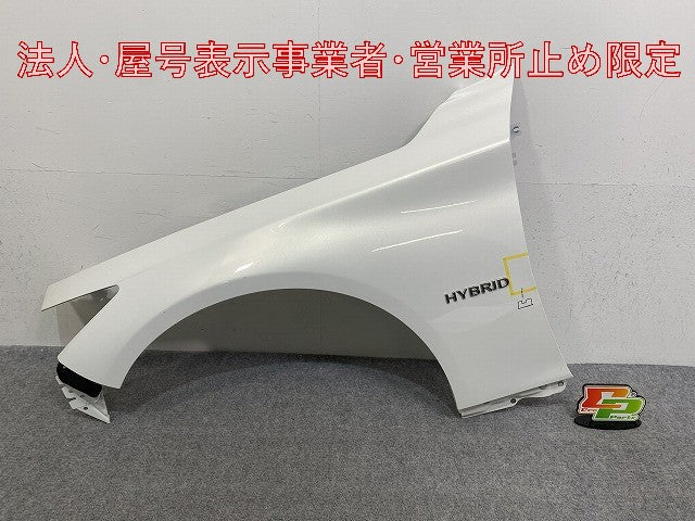 スカイライン/SKYLINE V37/YV37/HV37/HNV37/ZV37 純正 左 フロント フェンダー クリスタルホワイトパール QAA 日産(146674)