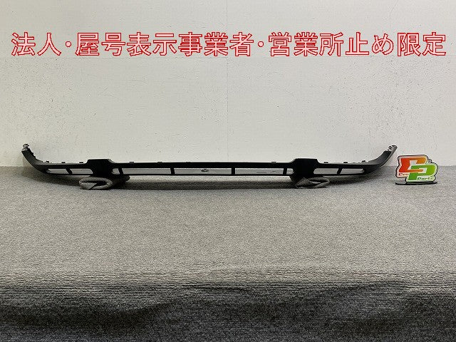 新品!パサートヴァリアント 純正 フロント スポイラー 3B0 805 903F 3B0805903FB41 素地 フォルクスワーゲン(147053)