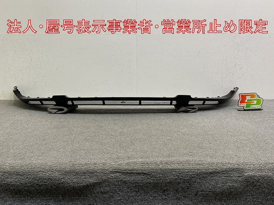新品!パサートヴァリアント 純正 フロント スポイラー 3B0 805 903F 3B0805903FB41 素地 フォルクスワーゲン(147053)