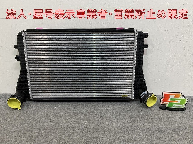 新品!パサート/B6 3C系  純正  インタークーラー 3C0145805P/1K0145803A フォルクスワーゲン(147163)
