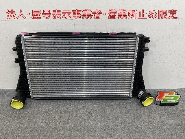 新品!パサート/B6 3C系  純正  インタークーラー 3C0145805P/1K0145803A フォルクスワーゲン(147164)