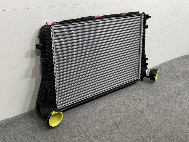 新品!パサート/B6 3C系  純正  インタークーラー 3C0145805P/1K0145803A フォルクスワーゲン(147164)