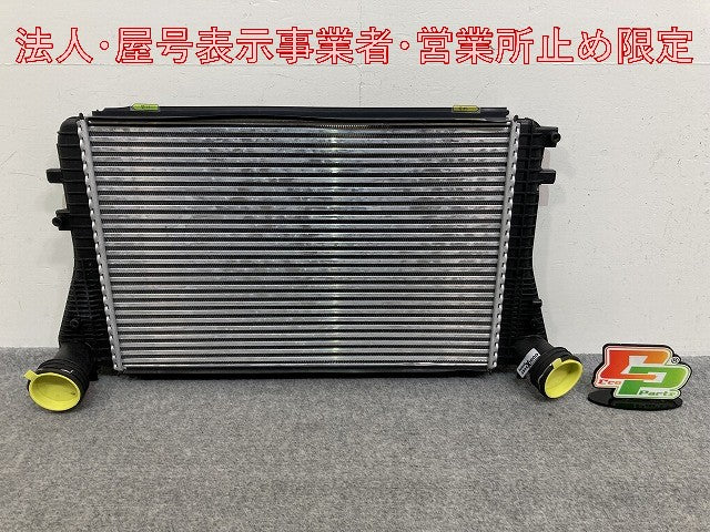 新品!パサート/B6 3C系  純正  インタークーラー 3C0145805P/1K0145803A フォルクスワーゲン(147165)