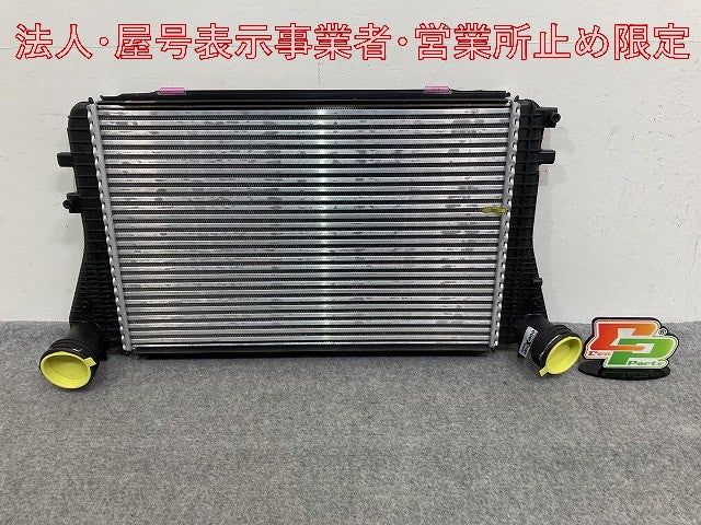 新品!パサート/B6 3C系  純正  インタークーラー 3C0145805P/1K0145803A フォルクスワーゲン(147166)