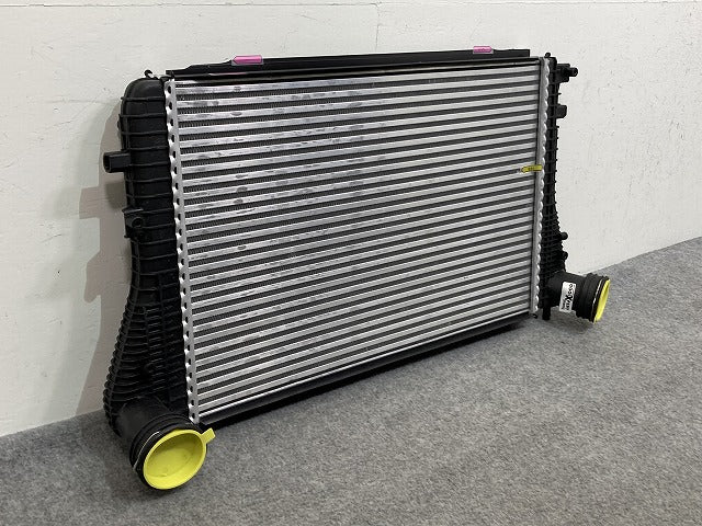 新品!パサート/B6 3C系  純正  インタークーラー 3C0145805P/1K0145803A フォルクスワーゲン(147166)
