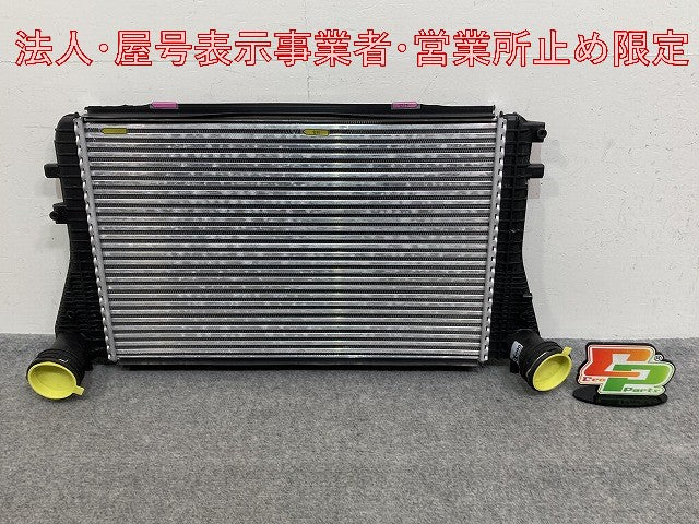 新品!パサート/B6 3C系  純正  インタークーラー 3C0145805P/1K0145803A フォルクスワーゲン(147167)