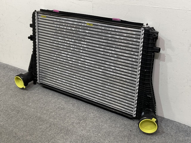 新品!パサート/B6 3C系  純正  インタークーラー 3C0145805P/1K0145803A フォルクスワーゲン(147167)