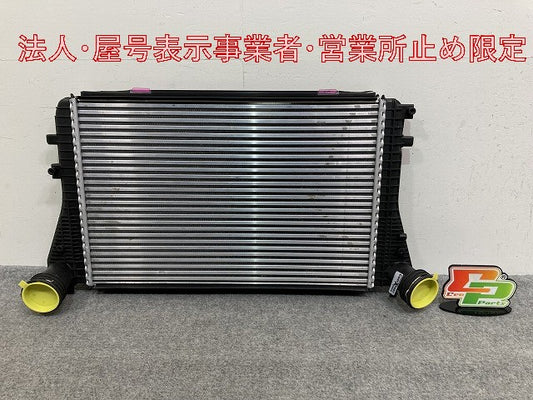 新品!パサート/B6 3C系  純正  インタークーラー 3C0145805P/1K0145803A フォルクスワーゲン(147168)