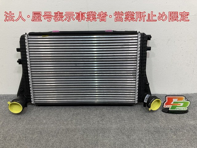 新品!パサート/B6 3C系  純正  インタークーラー 3C0145805P/1K0145803A フォルクスワーゲン(147169)