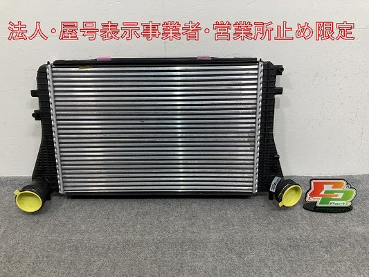 新品!パサート/B6 3C系  純正  インタークーラー 3C0145805P/1K0145803A フォルクスワーゲン(147169)