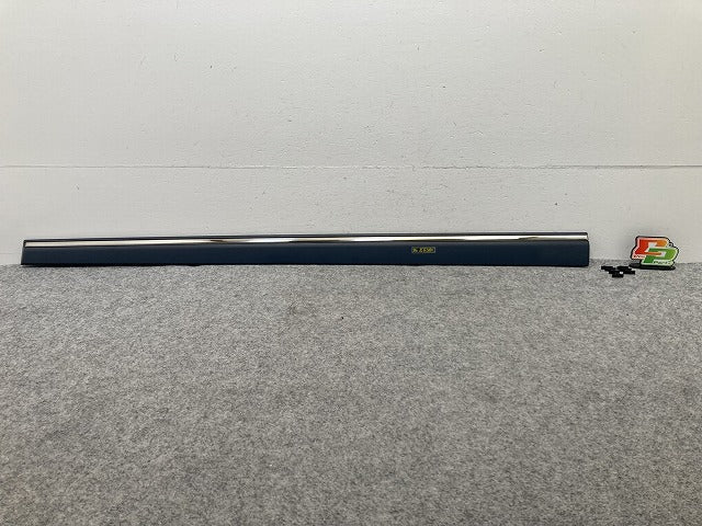 新品!Cクラス W203 純正 左 フロント ドア モール A 203 690 4962 A20369049629999 サフ メルセデスベンツ(147248)