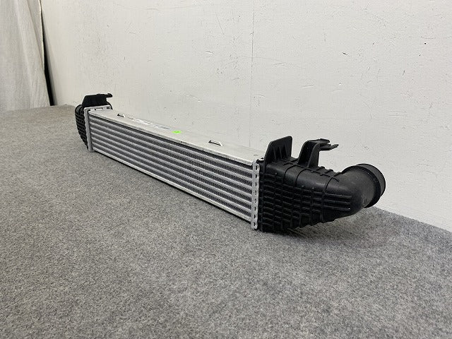 新品!Cクラス W204 純正  インタークーラー/チャージエアクーラー 84031012-001 CI359000P メルセデスベンツ(147365)