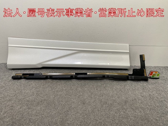 新品!ヴォクシー VOXY 90系/ZWR90W/ZWR95W/MZRA90W/MZRA95 純正 右 スライドドア サイドパネル TDL MS344-2801-A0 76905-ZR920/30 (147636)
