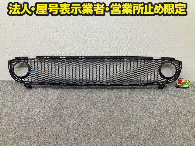新品!ザ・ビートル 16系/16CBZ 純正 フロント グリル/ラジエーターグリル 1 C0 807 681G 1C0807681G01C 素地 フォルクスワーゲン(148327)